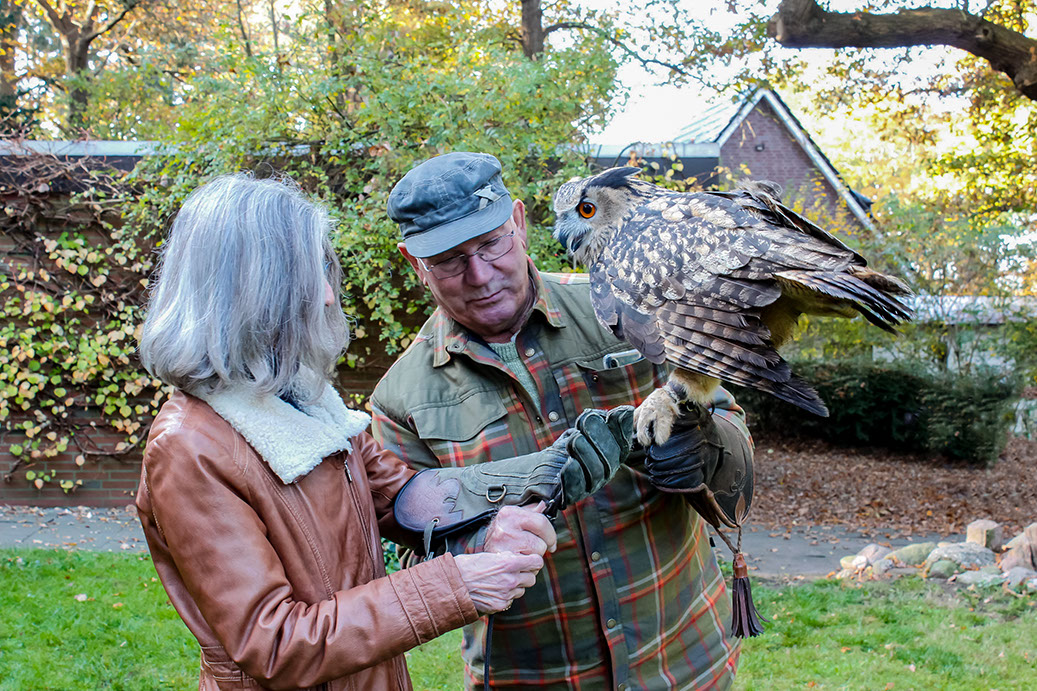 Greifvogel auf dem Arm, Uhu, Tag beim Falkner, Jagdfalkenschule Daniel Aebker