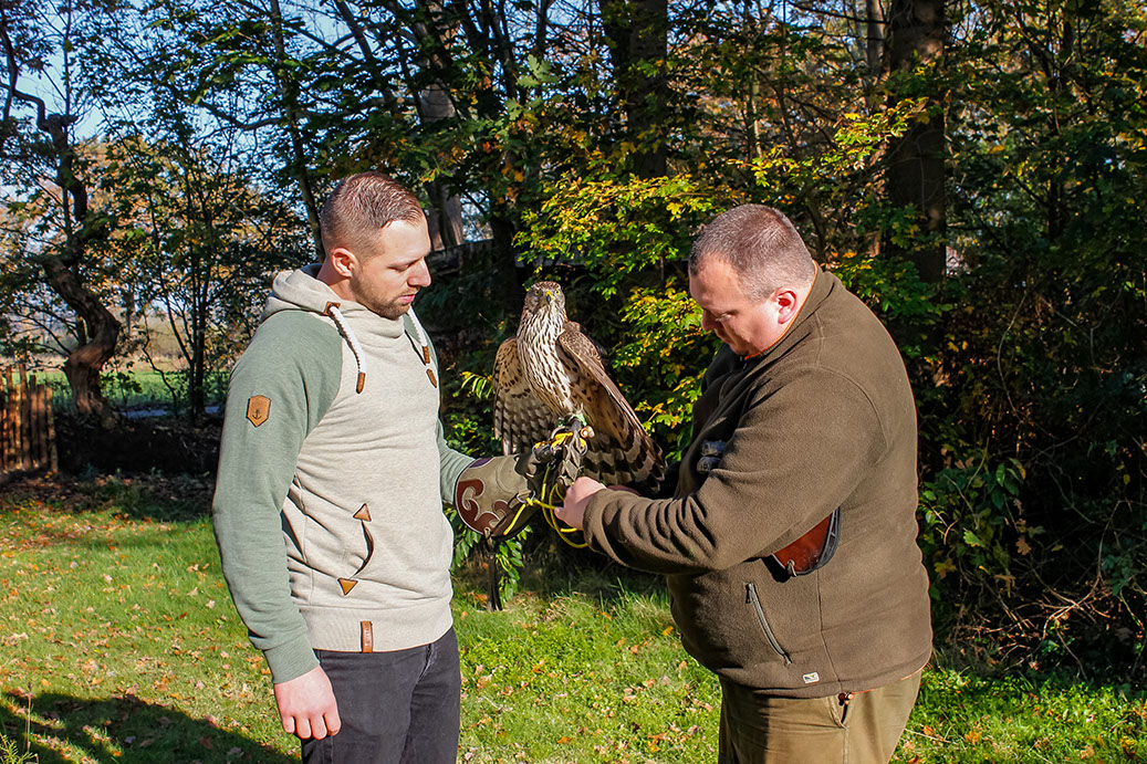 Vorbereitungskurs zur Falknerprüfung, Geschüh, Falknerknoten, Unterricht, Falknerprüfung, Jagdfalkenschule Daniel Aebker